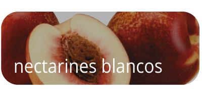 Nectarines Blancos