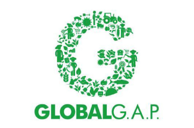 Certificación Global Gap