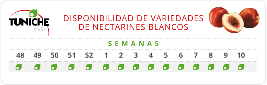 Nectarines Blancos Disponibilidad