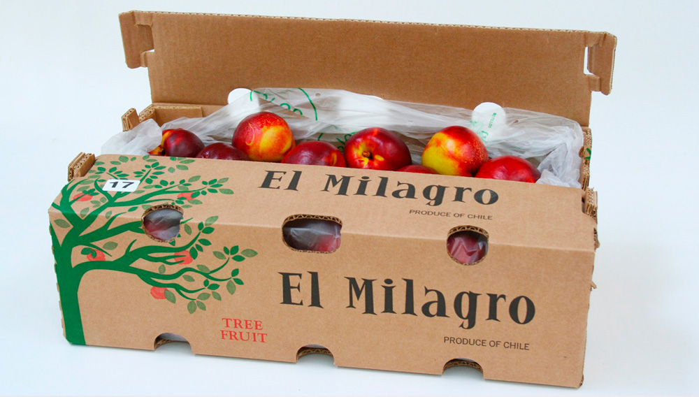 Embalaje Frutas de Exportación