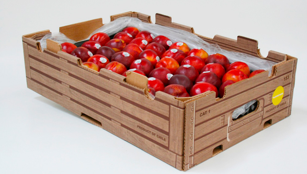 Embalaje Frutas de Exportación