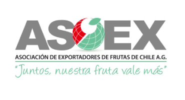 Asoex