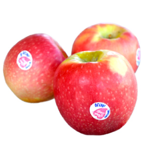 Manzanas Pink Lady TUNICHE FRUITS