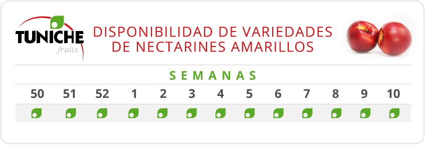 Nectarines Amarillos Disponibilidad