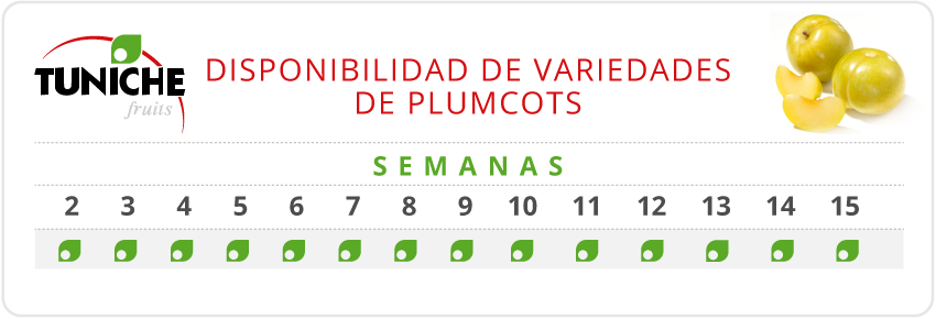 Plumcots Disponibilidad