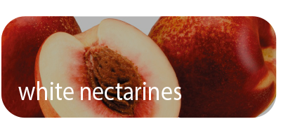 White Nectarines