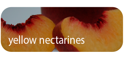 Yellow Nectarines