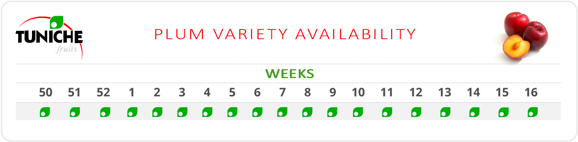 PLUM VARIETY AVAILABILITY