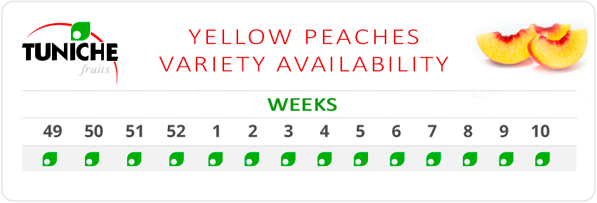 YELLOW PEACHES VARIETY AVAILABILITY
