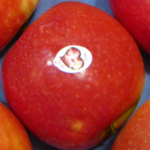 tunichefruits-manzanas-pink-lady-3