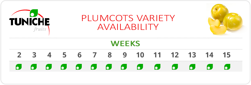 PLUMCOTS VARIETY AVAILABILITY