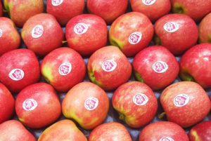 tunichefruits-manzanas-pink-lady-5