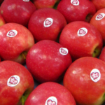 tunichefruits-manzanas-pink-lady-4